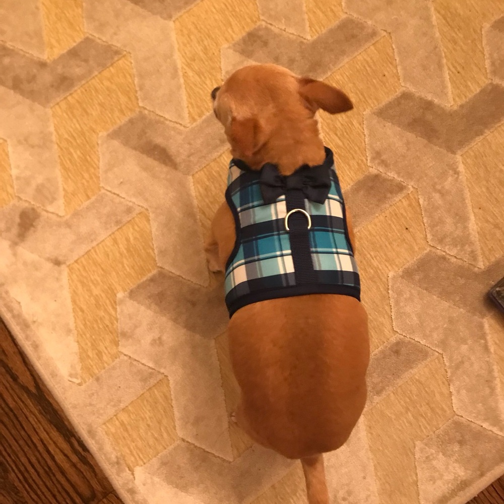 Blue Plaid Dog Harness